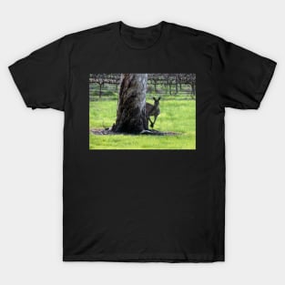 Peek a boo Kangaroo T-Shirt